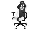 Dragon War GC-004 GAMING CHAIR (Black/White)